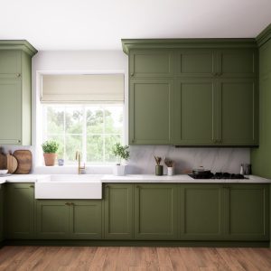Sage Green Modern Cabinets