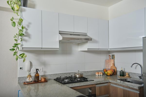 Matte White Minimalist Cabinets